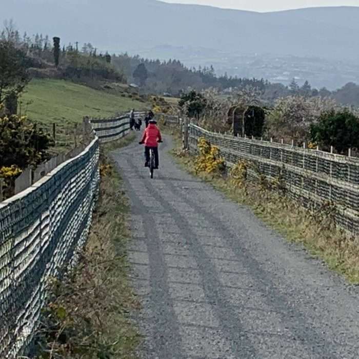 On yer BIke Carlingford Greenway Bicycle Hiring Rental 48